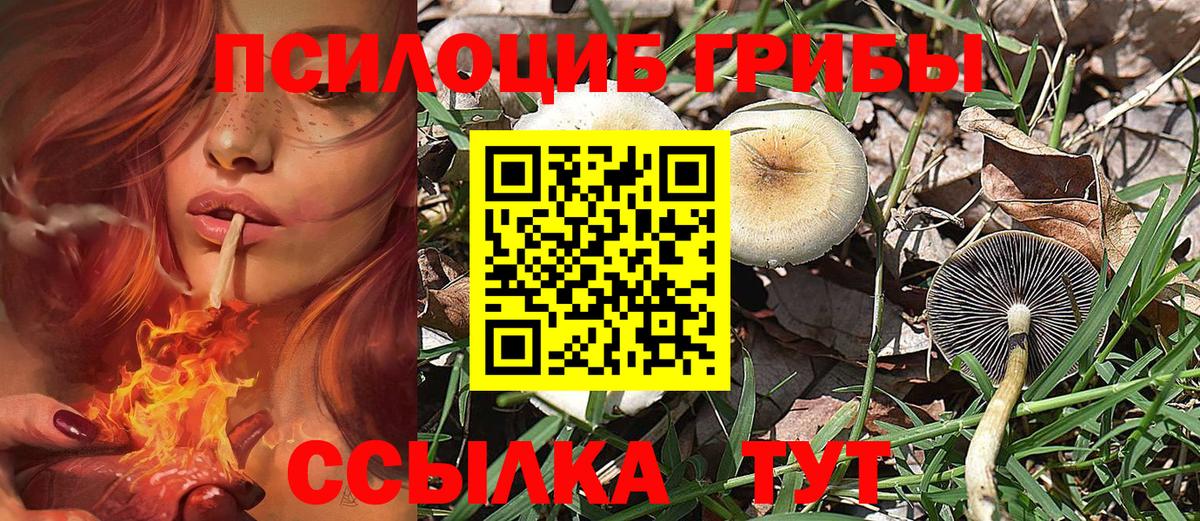 Галлюциногенные грибы Cubensis Мыски